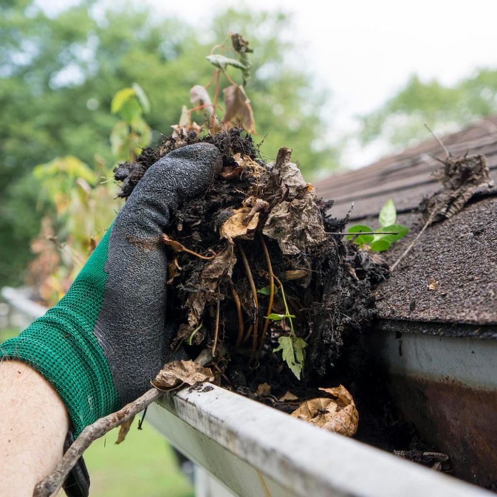 homeowners gutters reminder